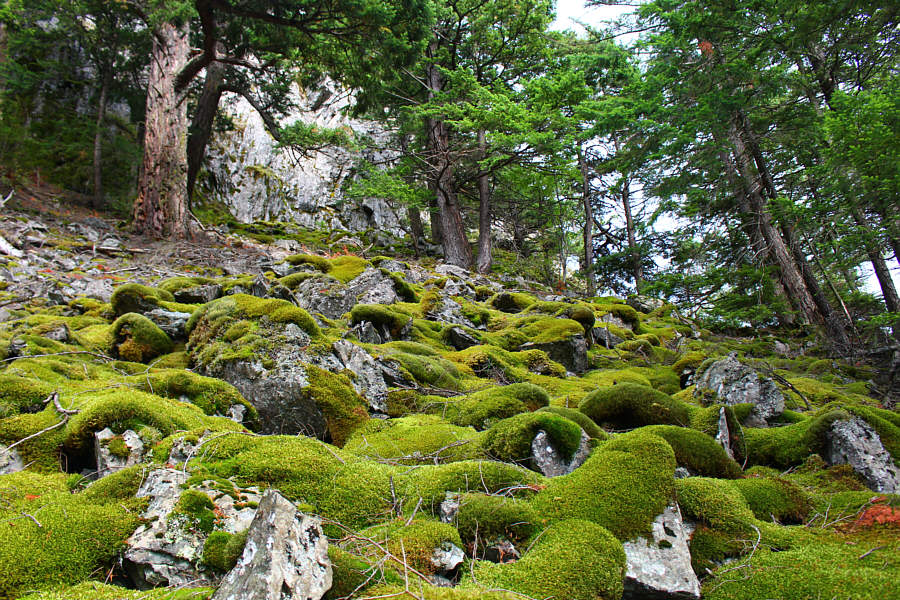 Makes you wanna lie down and nap, doesn't it?