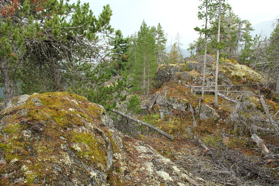 Eeny, meeny, miny, moe...