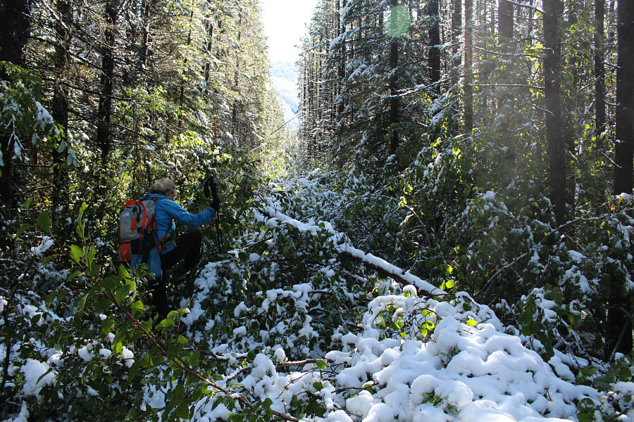 Going through this was actually a breeze compared to what was to follow later in the day...