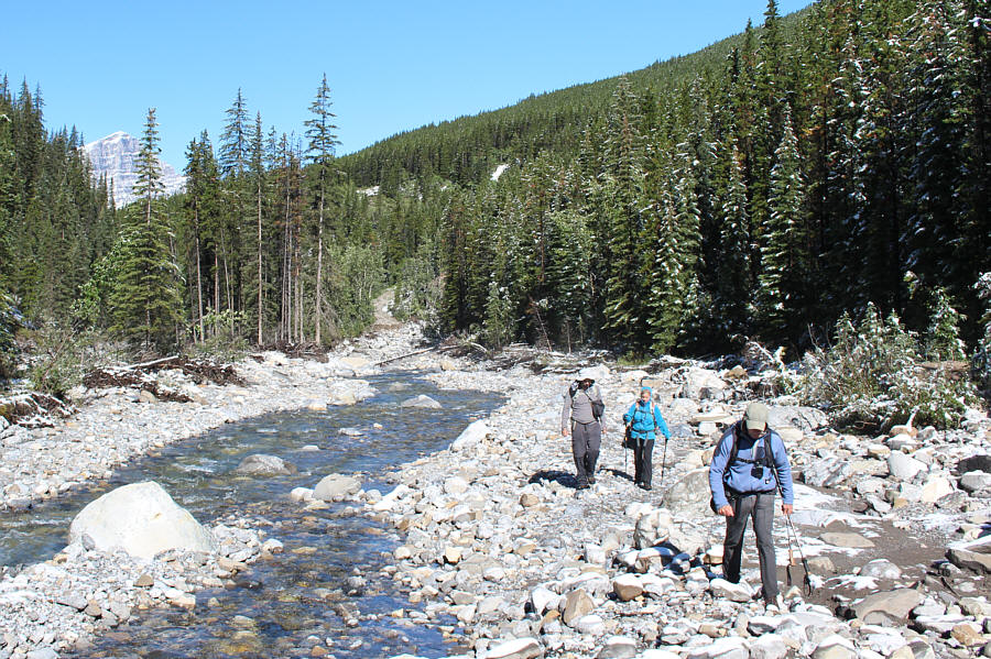 Maybe the creek is where the trail used to be!