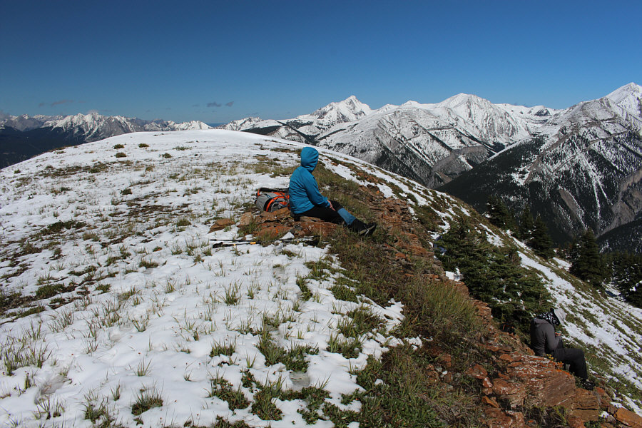 Can you spot Bob behind the tree? Reminds me of the Monty Python sketch, "How Not To Be Seen"!