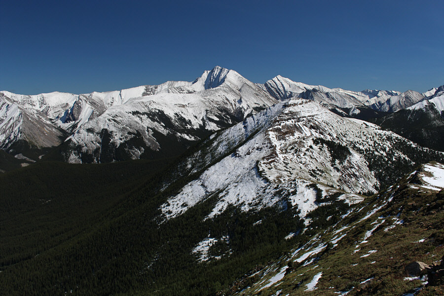 Going back that way is not an option...at least, not yet!