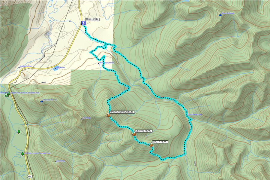 It's all Raff's fault!