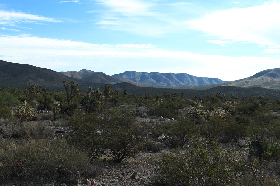 Ugh. We have a long walk ahead of us...