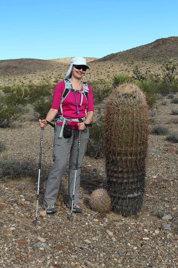 I think Dinah approves!