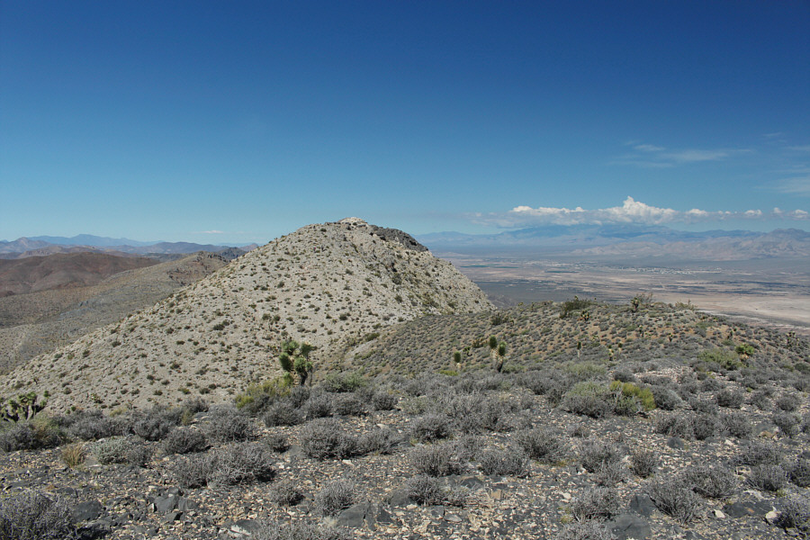 There was actually a big horn sheep here (see Bob Spirko's trip report). Wonder where it gets water to drink around here...
