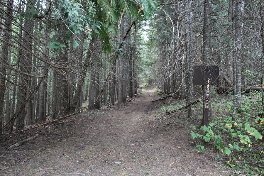 All that is missing are some dwarves and a hobbit.