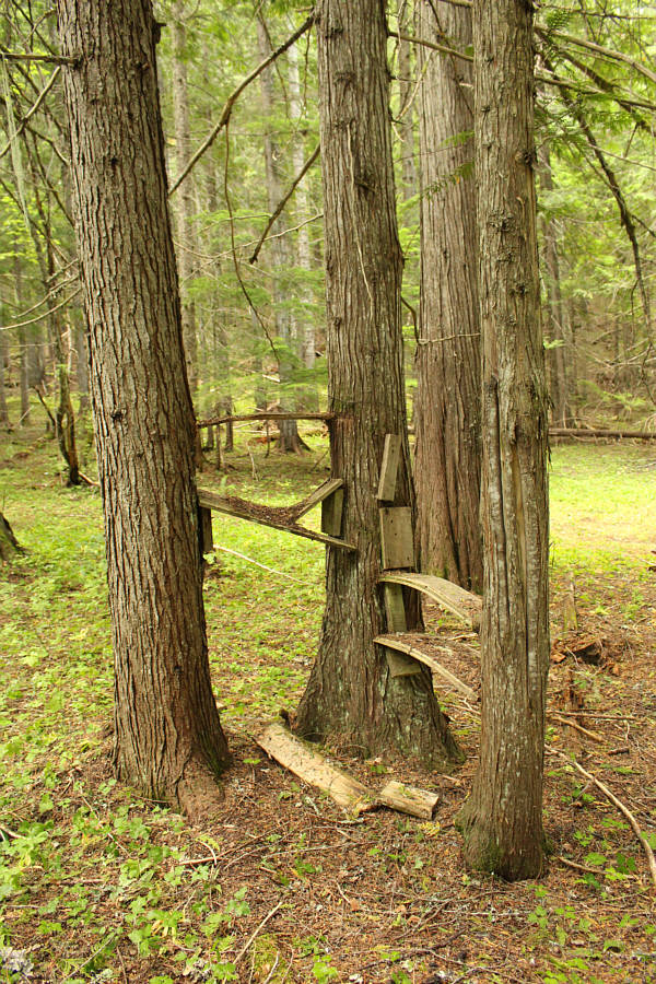 All that is missing is a can of beans.