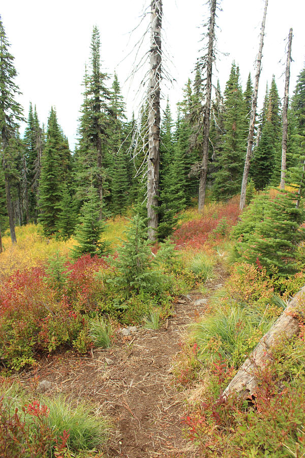 Well, at least the trail has an end if it doesn't have a start!