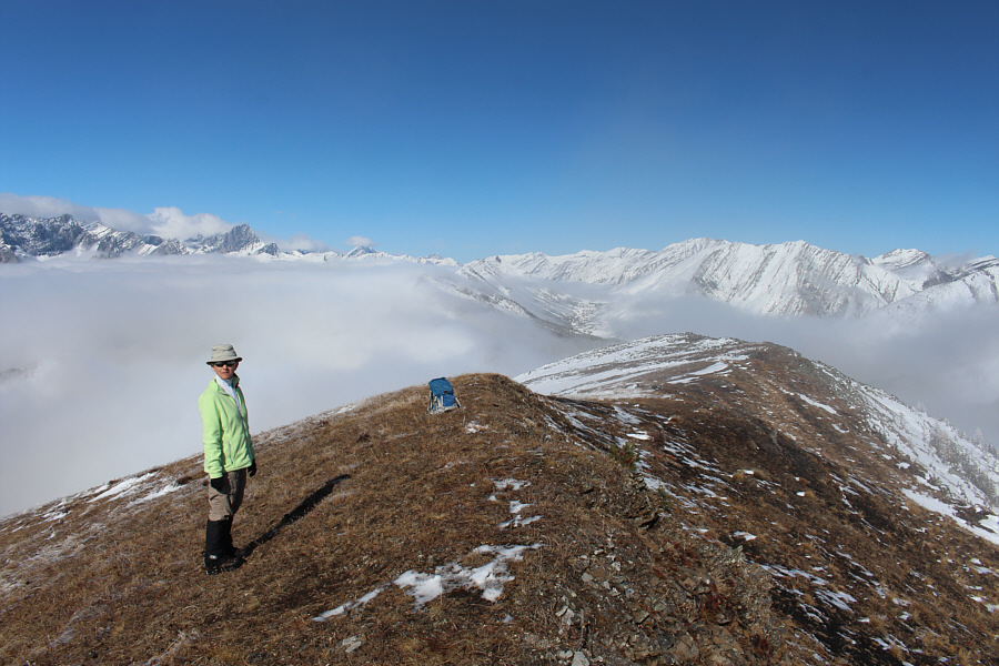 With a hat like that, Zora should be fishing!