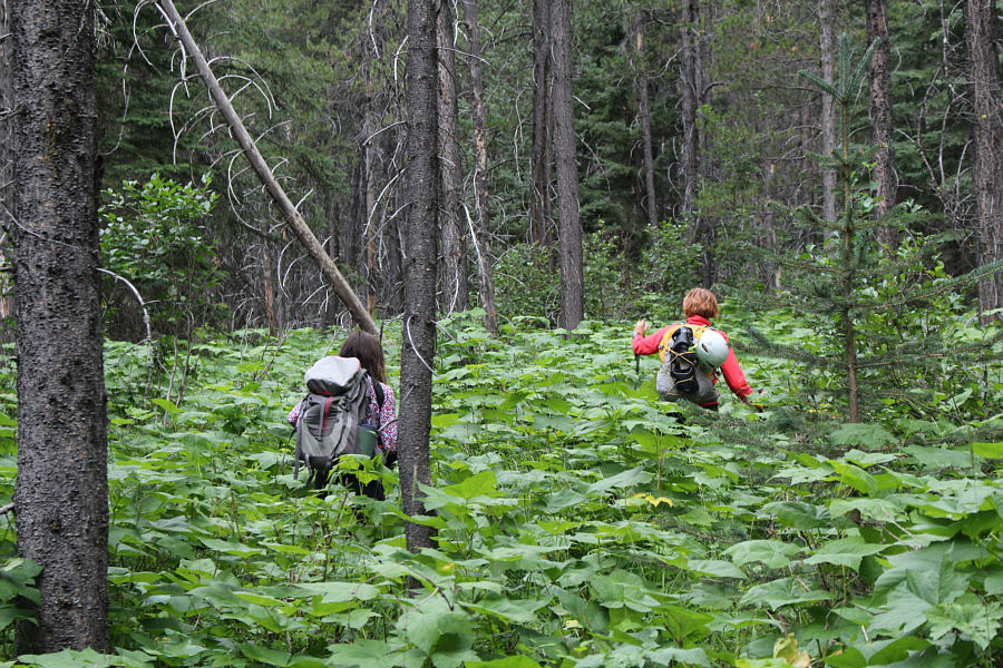 Not so bad when it's dry...