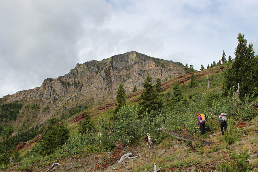 Keep an eye out for huckleberries and strawberries!