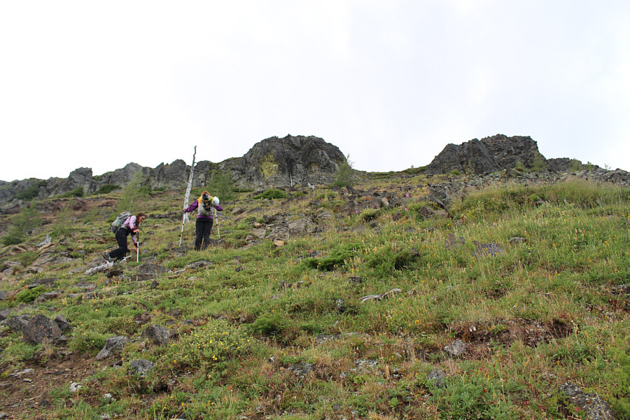 Also known as "the gates" as coined by Bob Spirko.