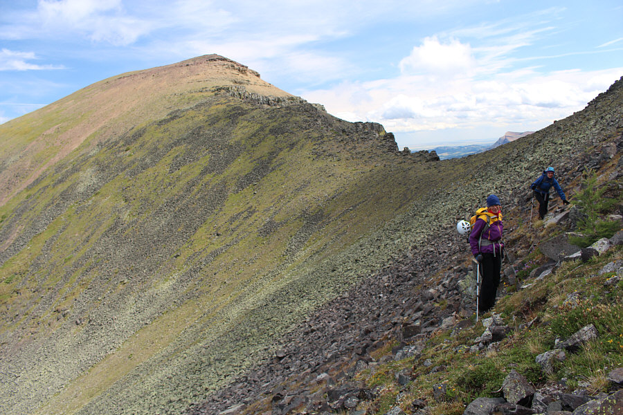 Look at the different shades of green.