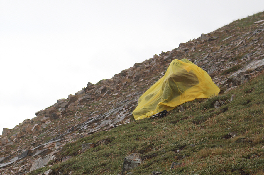 Maybe I should join them...