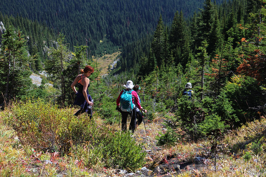 Just wouldn't be a complete trip without some bushwhacking thrown in!