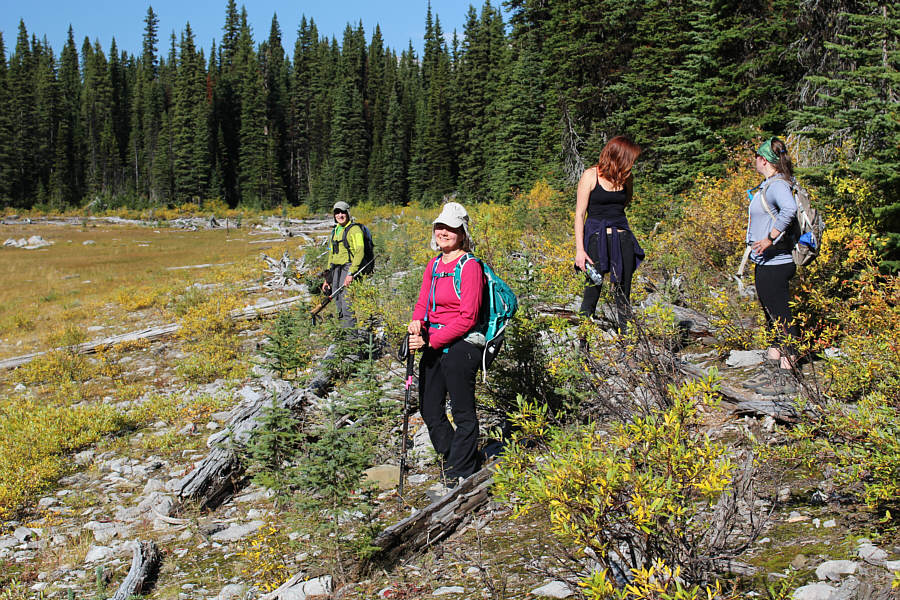 No grizzly bears here today.