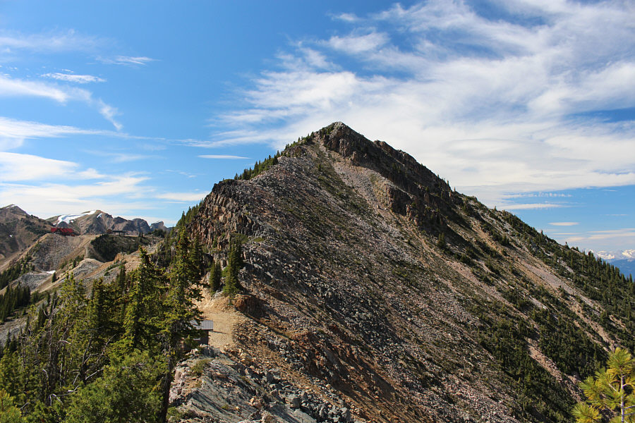 Lotsa fun...unless you're in a rush!