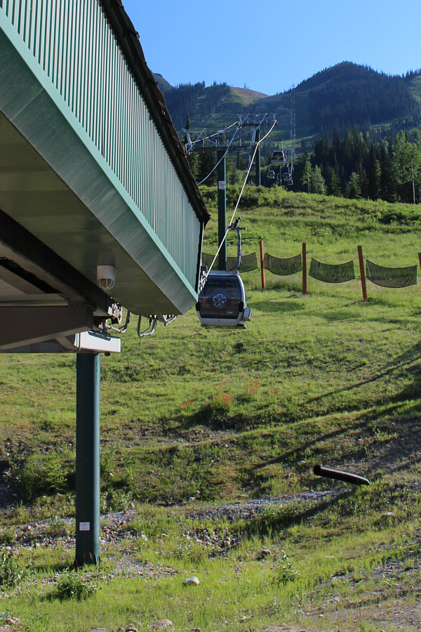 This could have turned out much worse...