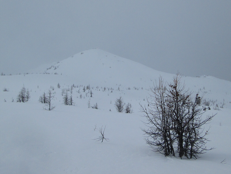 Hmm...is it really worth it today?