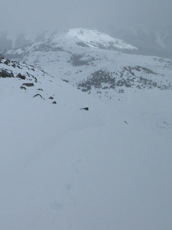 I wanna come back and ski Wawa Ridge!