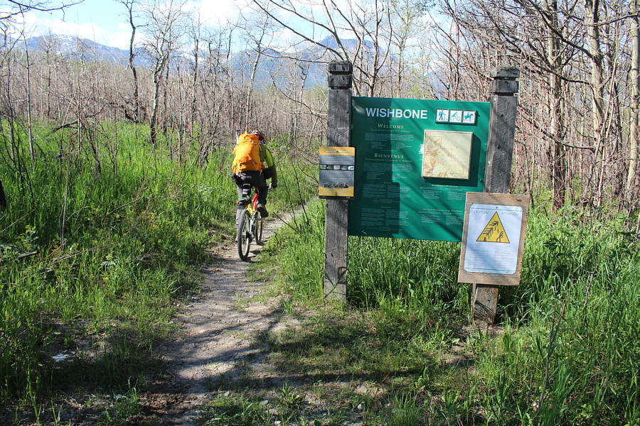 Watch for falling trees!