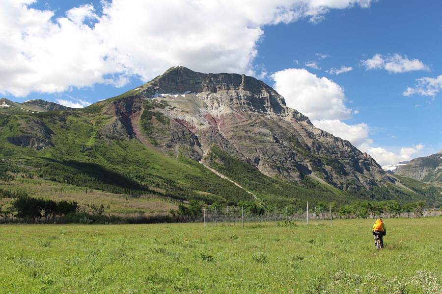 Grazing research, probably.