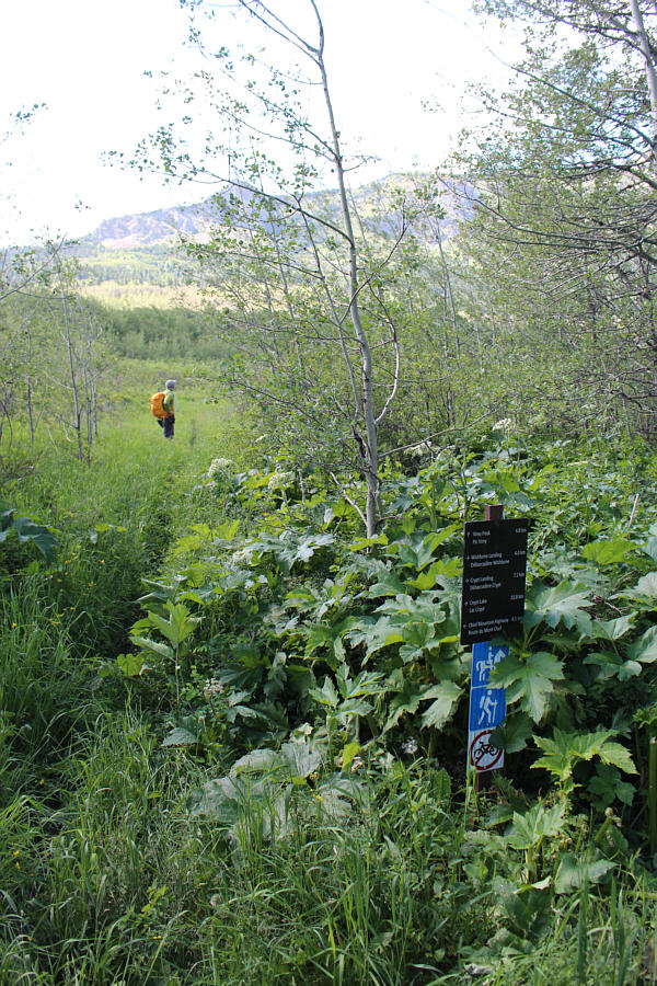 After all the cycling to get here, we are only about 2 metres higher than the trailhead!