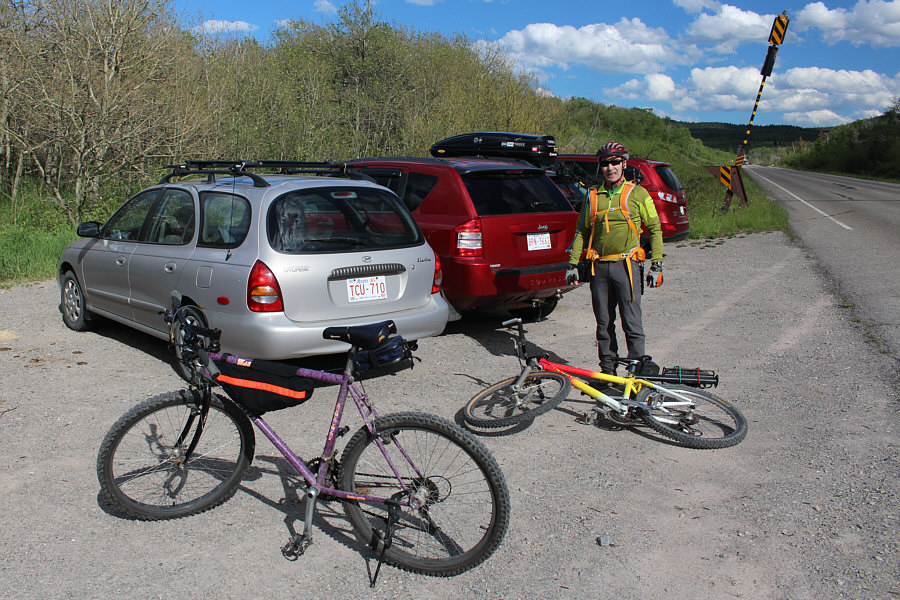 If you look closely, you can see the creepy caterpillars on the ground.