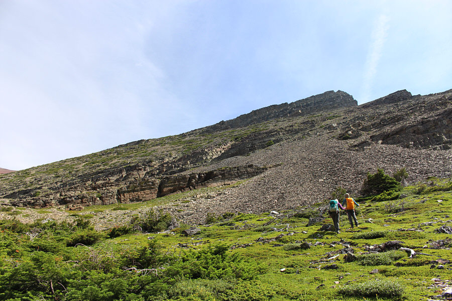 Ugh...more treadmill rubble.