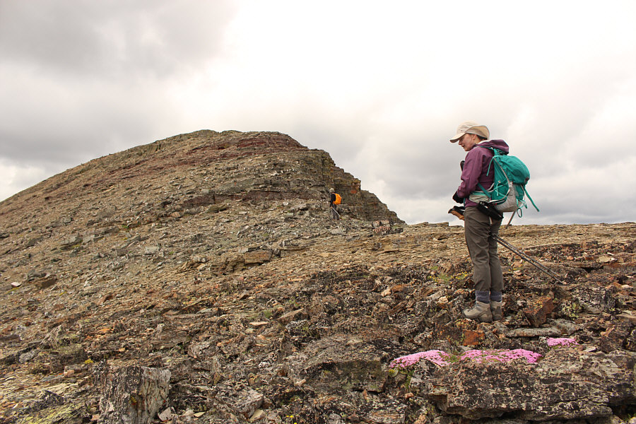 Note the carpet of pink moss campion below Dinah's feet.