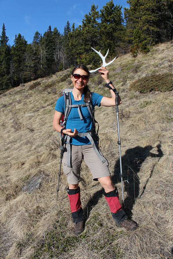 Don't knock heads with Zosia!