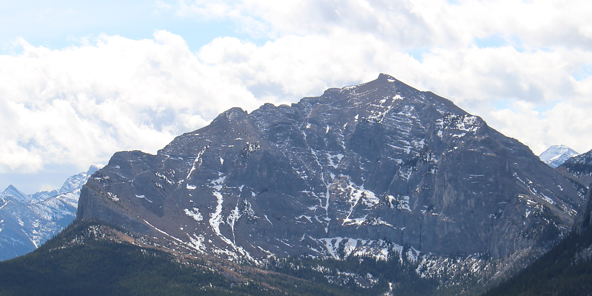 Can you spot the chain?