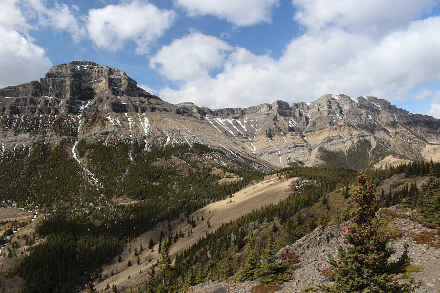 Anybody wanna try these two with me?