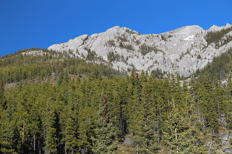 Doesn't look so bad from down here...