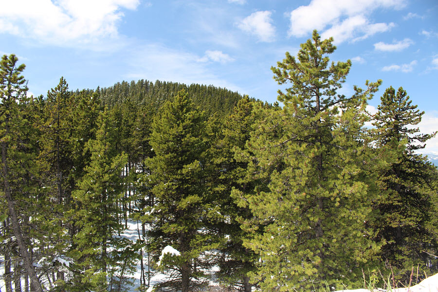 Oh, I think I can see some mountains at extreme right!