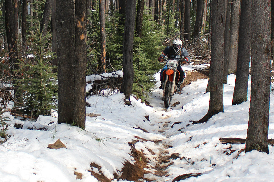 These guys seemingly go up anything regardless of rocks or snow!