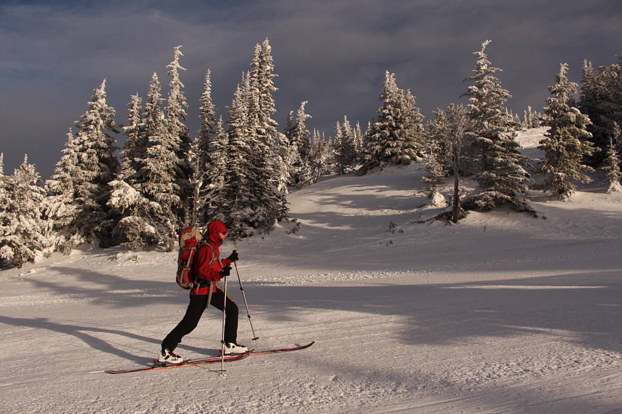 Zosia is a climbing machine!