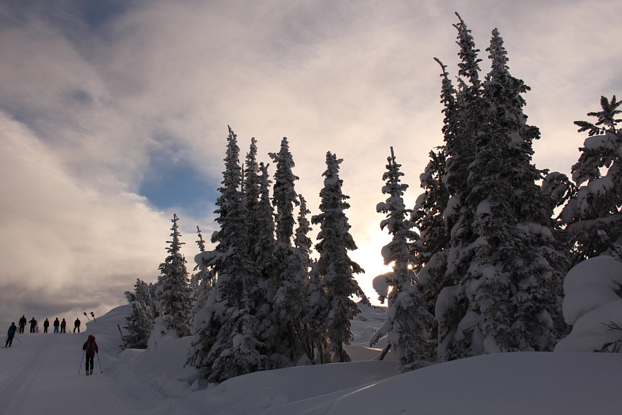 We are no longer alone...