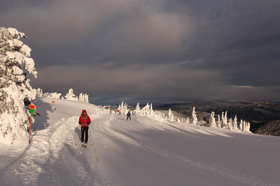 It's no bluebird day, but I'll take it!