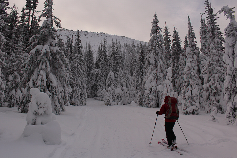 We may yet get out of having to break trail on this trip!