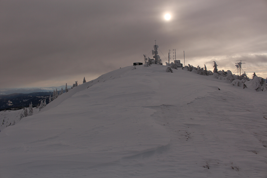 At least they make good wind breaks!