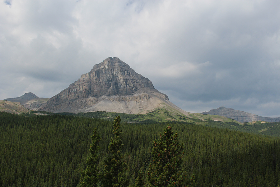 It was a bit disheartening to lose some elevation here and then plunge into the forest for some bushwhacking.
