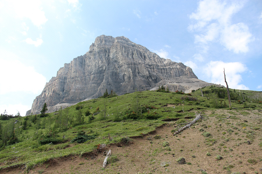 The summit is nearly 700 metres above us here.