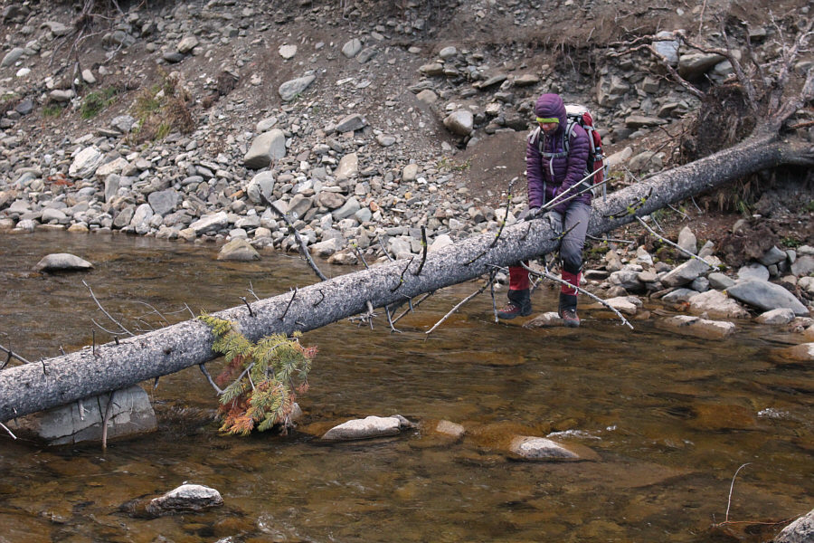 Reminds me of North Kintla Creek...