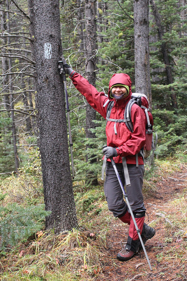 No bushwhacking today!