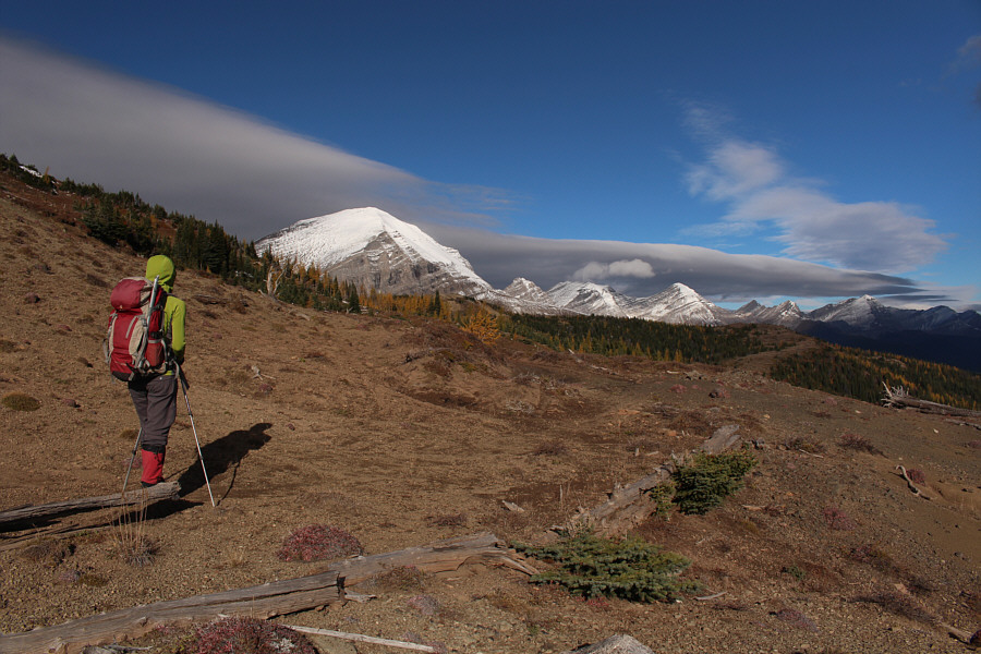 Is that roaring sound from the wind?