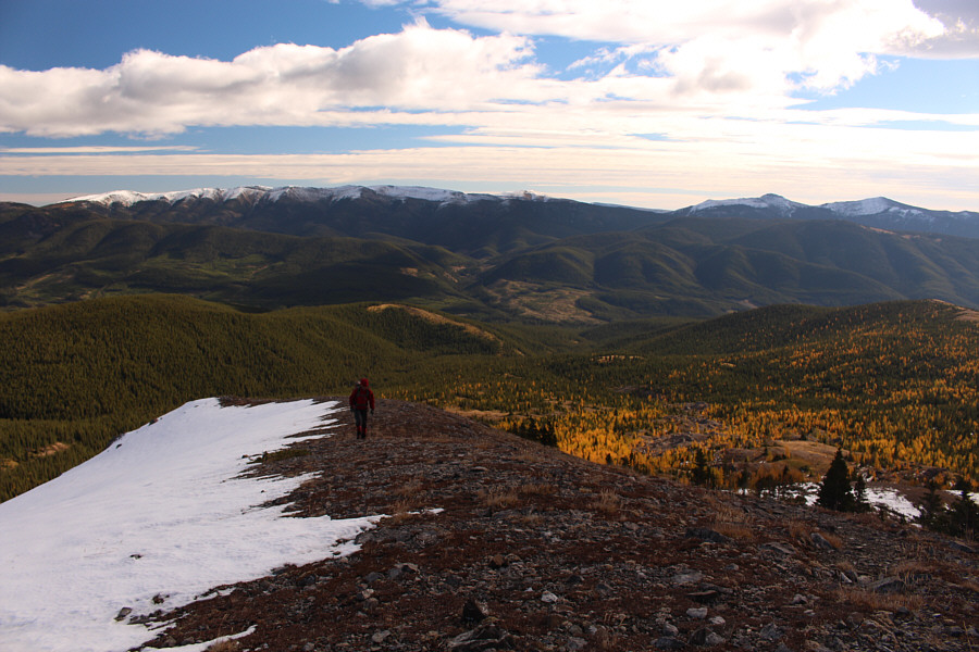 If it's windy, here's your last chance to pee in peace!