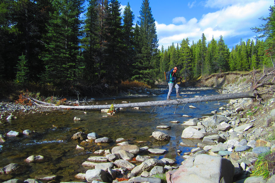 All that recent slacklining practice paid off here!