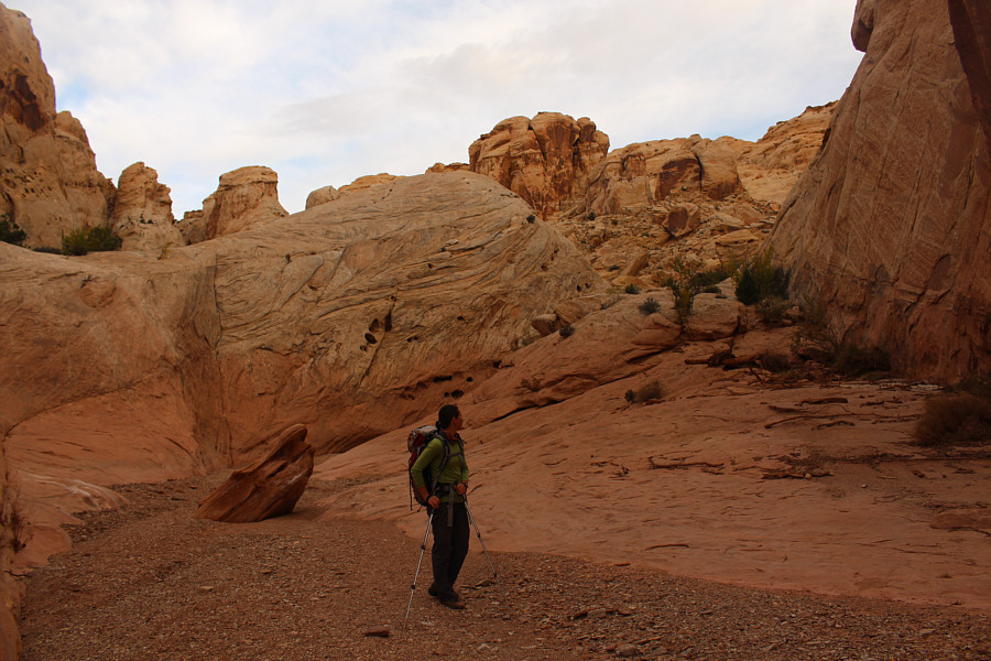 Zosia calls the rock behind her "The Beehive".